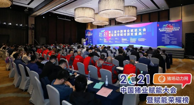 正康生?Plus榮獲“2021年度匠心飼料添加劑”！